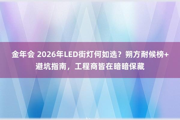 金年会 2026年LED街灯何如选？朔方耐候榜+避坑指南，工程商皆在暗暗保藏