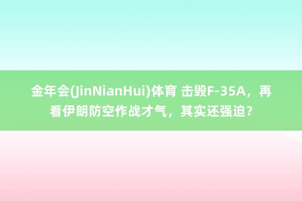 金年会(JinNianHui)体育 击毁F-35A，再看伊朗防空作战才气，其实还强迫？