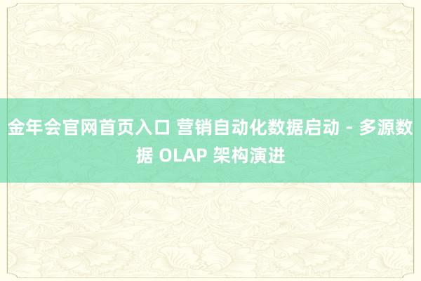 金年会官网首页入口 营销自动化数据启动 - 多源数据 OLAP 架构演进