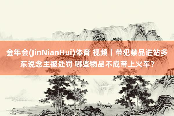 金年会(JinNianHui)体育 视频｜带犯禁品进站多东说念主被处罚 哪些物品不成带上火车？