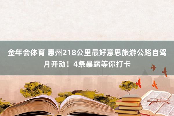 金年会体育 惠州218公里最好意思旅游公路自驾月开动！4条暴露等你打卡