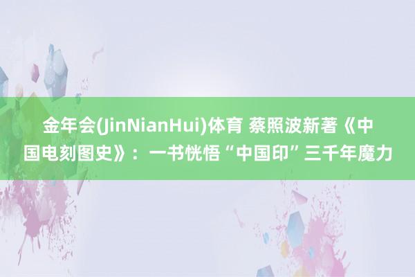金年会(JinNianHui)体育 蔡照波新著《中国电刻图史》：一书恍悟“中国印”三千年魔力
