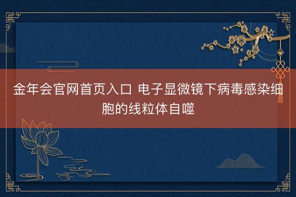 金年会官网首页入口 电子显微镜下病毒感染细胞的线粒体自噬