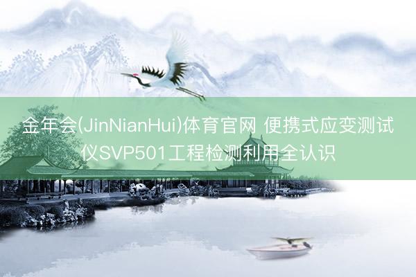 金年会(JinNianHui)体育官网 便携式应变测试仪SVP501工程检测利用全认识