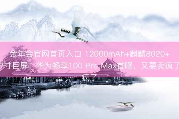 金年会官网首页入口 12000mAh+麒麟8020+7寸巨屏！华为畅享100 Pro Max首曝，又要卖疯了