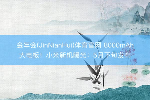 金年会(JinNianHui)体育官网 8000mAh大电板!小米新机曝光:5月下旬发布