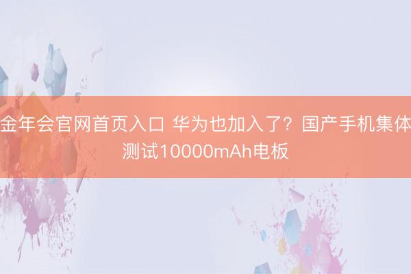 金年会官网首页入口 华为也加入了？国产手机集体测试10000mAh电板