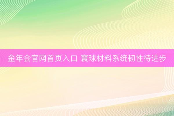 金年会官网首页入口 寰球材料系统韧性待进步