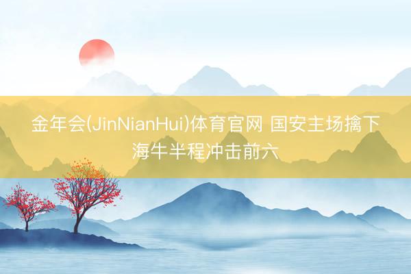 金年会(JinNianHui)体育官网 国安主场擒下海牛半程冲击前六