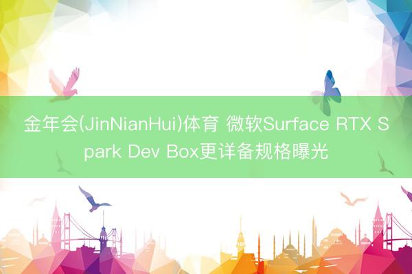 金年会(JinNianHui)体育 微软Surface RTX Spark Dev Box更详备规格曝光