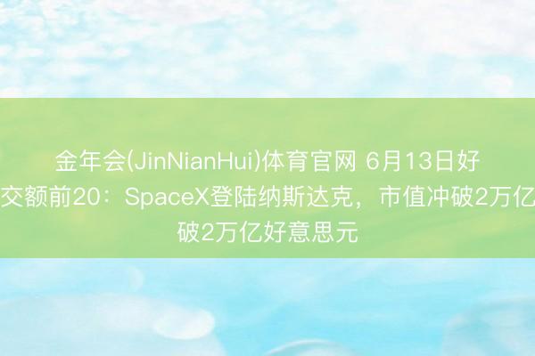金年会(JinNianHui)体育官网 6月13日好意思股成交额前20：SpaceX登陆纳斯达克，市值冲破2万亿好意思元