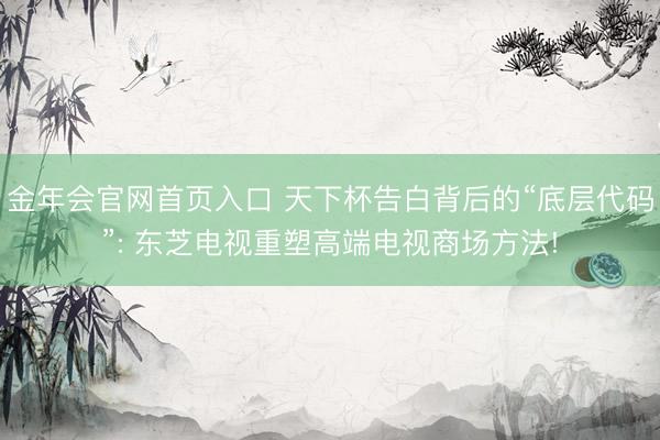 金年会官网首页入口 天下杯告白背后的“底层代码”: 东芝电视重塑高端电视商场方法!