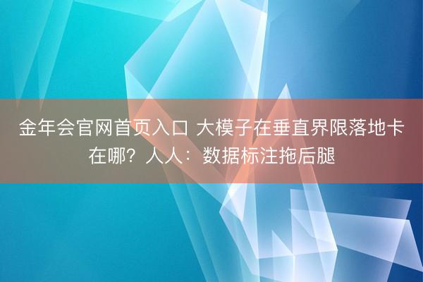金年会官网首页入口 大模子在垂直界限落地卡在哪?人人:数据标注拖后腿